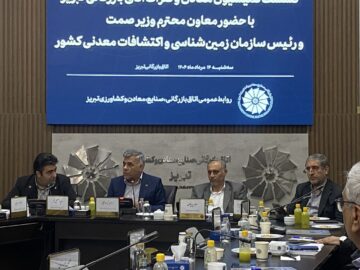 فقط ۲ درصد از ذخایر معدنی کشور کشف شده است