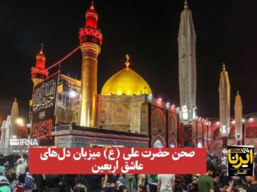 فیلم| صحن حضرت علی (ع) میزبان دل‌های عاشق اربعین