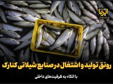 فیلم| رونق تولید و اشتغال در صنایع شیلات شهرستان کنارک