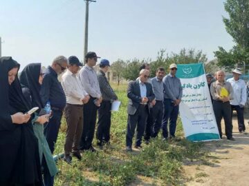 بهره‌وری آب و کشاورزی قراردادی، دو اولویت وزارت جهاد کشاورزی است