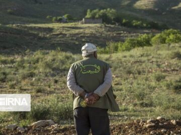 شبکه داوطلبان حفاظت از منابع طبیعی خراسان شمالی به سه هزار نفر رسید