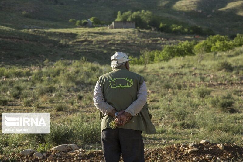 شبکه داوطلبان حفاظت از منابع طبیعی خراسان شمالی به سه هزار نفر رسید