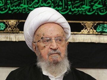 آیت‌الله مکارم شیرازی: اربعین سرمایه‌ای از عشق، ایثار و انسانیت است