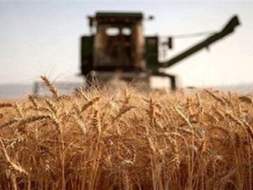 چهار طرح کشاورزی در کهگیلویه و بویراحمد به بهره‌برداری رسید