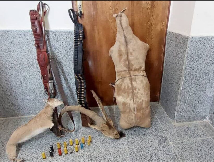 متخلف شکار غیرمجاز در لردگان دستگیر شد