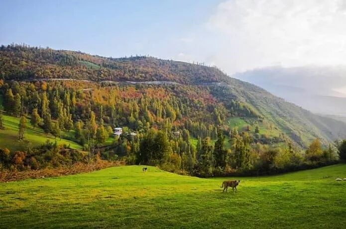 هوای مازندران گرم می‌شود