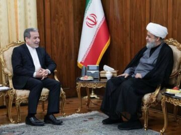 دبیرکل مجمع جهانی تقریب مذاهب اسلامی با عراقچی دیدار کرد