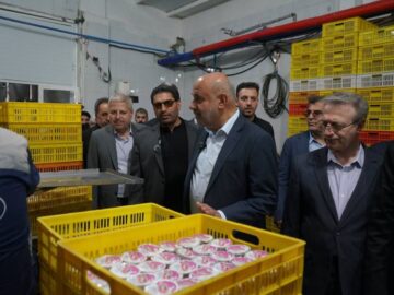 یک طرح صنعتی ۲۰۰ میلیارد ریالی با حضور وزیر کار در قوچان بهره برداری شد