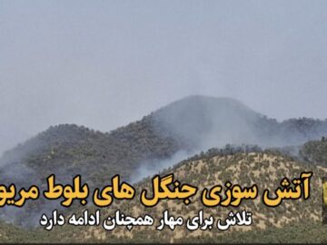 فیلم| آتش‌سوزی در جنگل‌های بلوط مریوان