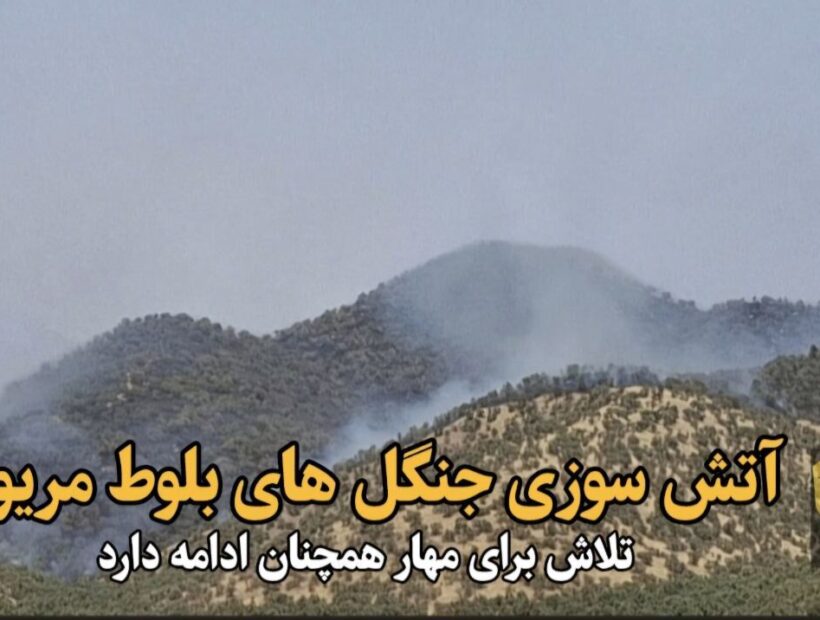 فیلم| آتش‌سوزی در جنگل‌های بلوط مریوان