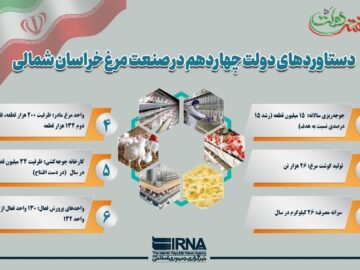 اینفوگرافیک/ رشد چشمگیر صنعت مرغ خراسان‌شمالی در دولت چهاردهم