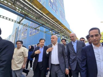 وزیر کار: واگذاری به بخش خصوصی بهترین راهکار احیای کارخانه اسیدسیتریک کرمانشاه است