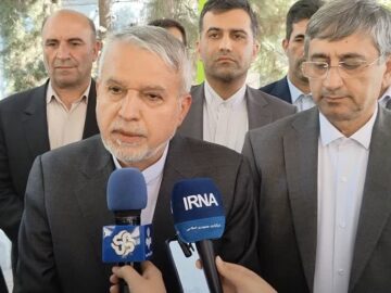 وزیر میراث فرهنگی:دولت مشوق‌های جدیدی برای حوزه گردشگری تعریف کرده است