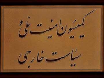 وزارت خارجه و سازمان انرژی اتمی به قانون مجلس پایبند باشند