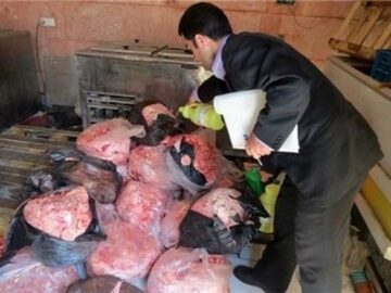 توقیف و معدوم‌سازی یک تن فرآورده مرغی غیربهداشتی در بیرجند