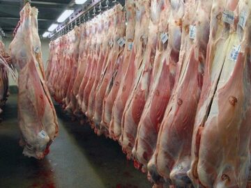 ترخیص ۱۵۰۰ تن گوشت از مرز ریمدان استان سیستان و بلوچستان