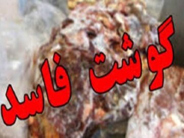 توقیف ۳۴ کیلوگرم گوشت فاسد در کافه‌رستوران فین کاشان