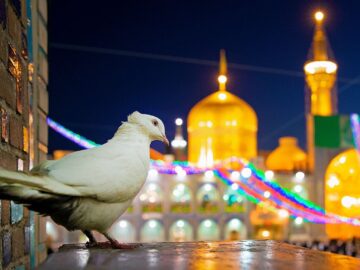 بشارت امام رضا(ع) برای آخرالزمان و ظهور منجی بشریت