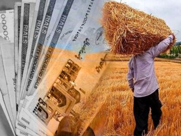 پرداخت مطالبات معوق گندم‌کاران آغاز شد