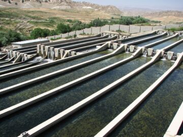 یک میلیارد متر مکعب پساب در کشور تسویه می‌شود