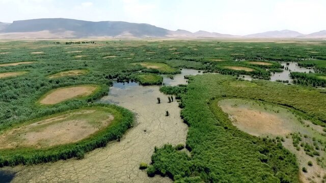 تلنگری به طبیعت کرمانشاه؛ وقتی تالاب‌ها بی‌صدا عقب‌نشینی می‌کنند