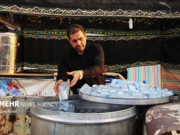 کردستان؛ جلوه‌گاه اتحاد شیعه و سنی در خدمت به زائران اربعین حسینی