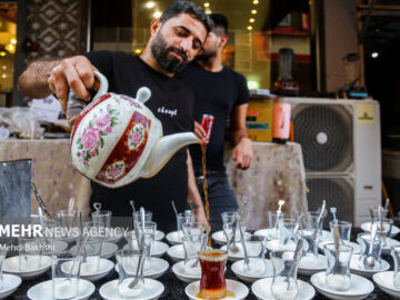 آغاز فعالیت موکب حسینیه هدایت تهران در شهر نجف اشرف