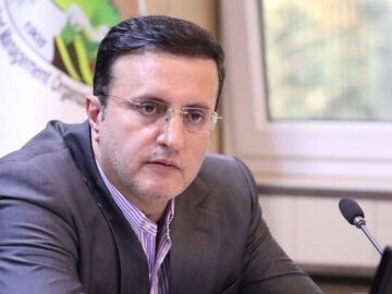 تیموری: ۲ هزار هکتار از اراضی ملی فومن به بخش خصوصی واگذار شده است