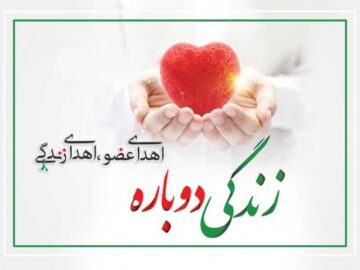 اهدای عضو بیمار مرگ‌مغزی در تبریز جان سه نفر را نجات داد