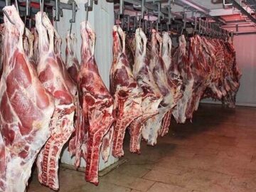 روزانه بیش از ۹۰۰ تن انواع گوشت در خراسان رضوی تولید می‌شود