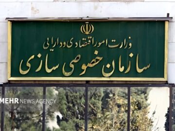 واگذاری ۴ بنگاه زیرمجموعه شرکت پشتیبانی امور دام