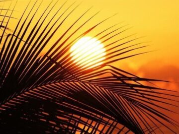 تداوم گرمای شدید در خوزستان؛ شوش با ۵۰.۶ درجه در صدر