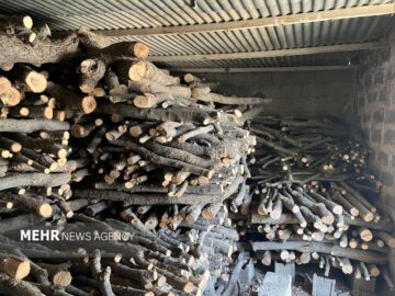 شناسایی و توقیف قاچاق چوب در روستای انگتارود