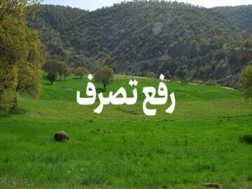 آزادسازی اراضی کشاورزی ۱۵۰ میلیاردی در نور