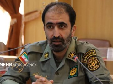 شناسایی و برخورد با ۴ مورد تخلف شکار و فروش غیرمجاز حیات وحش در دماوند