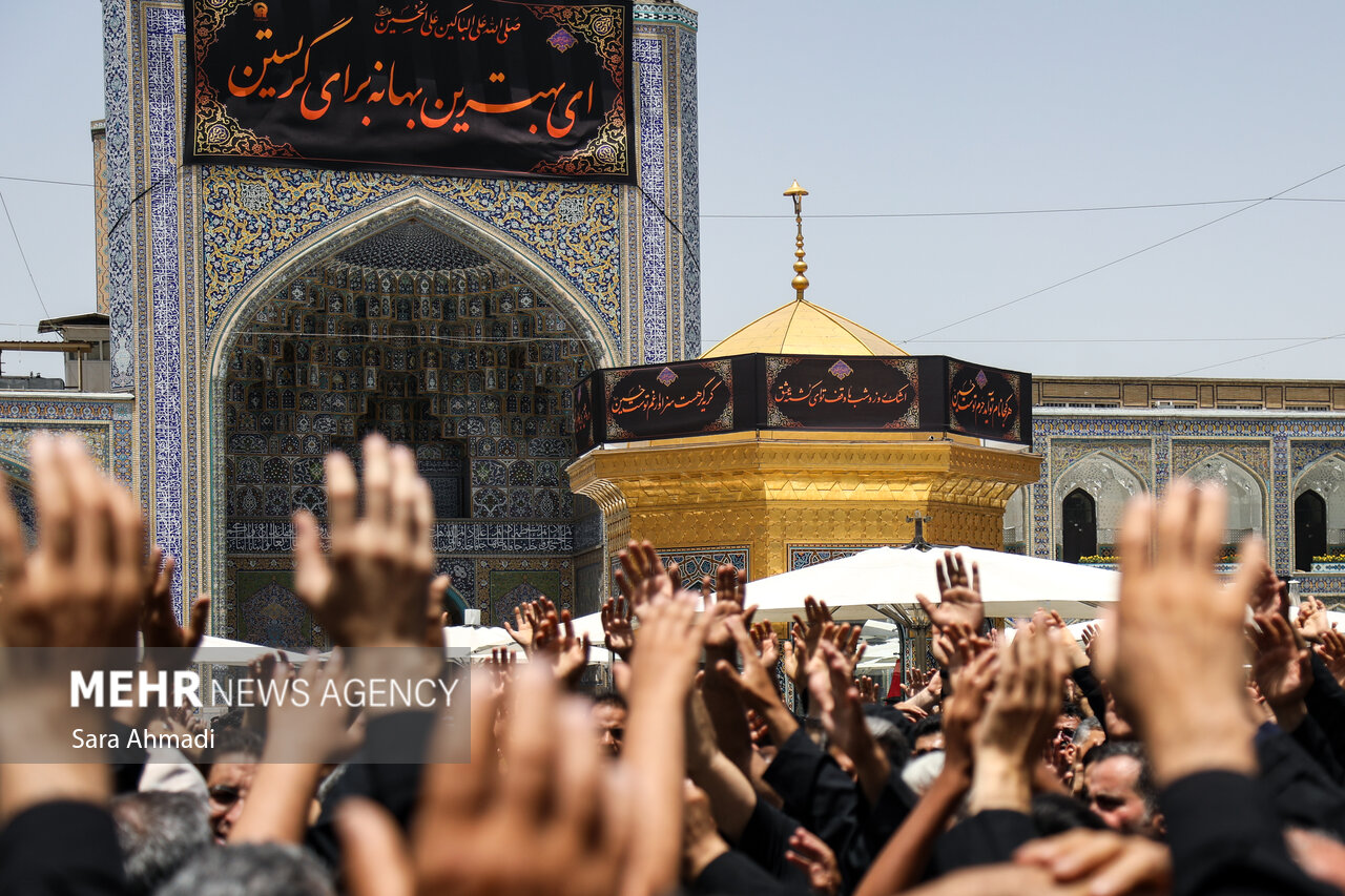 حضرت علی بن موسی الرضا (ع) الگوی دشمن‌شناسی در تاریخ اسلام