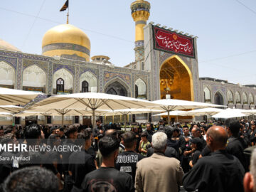 حضرت علی بن موسی الرضا (ع) الگوی دشمن‌شناسی در تاریخ اسلام