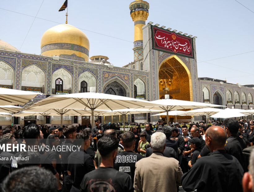 حضرت علی بن موسی الرضا (ع) الگوی دشمن‌شناسی در تاریخ اسلام