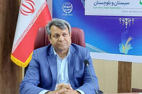 ۲۶۳ طرح کشاورزی در سیستان و بلوچستان بهره‌برداری و کلنگ‌زنی خواهد شد