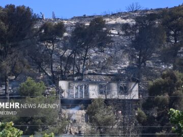 جابجایی حدود ۱۰۰۰ نفر به دلیل آتش‌سوزی‌های جنگلی در شمال غربی ترکیه