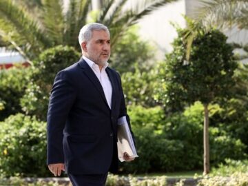 اسماعیلی: معاونت پارلمانی تنها سخنگوی دولت در مجلس است