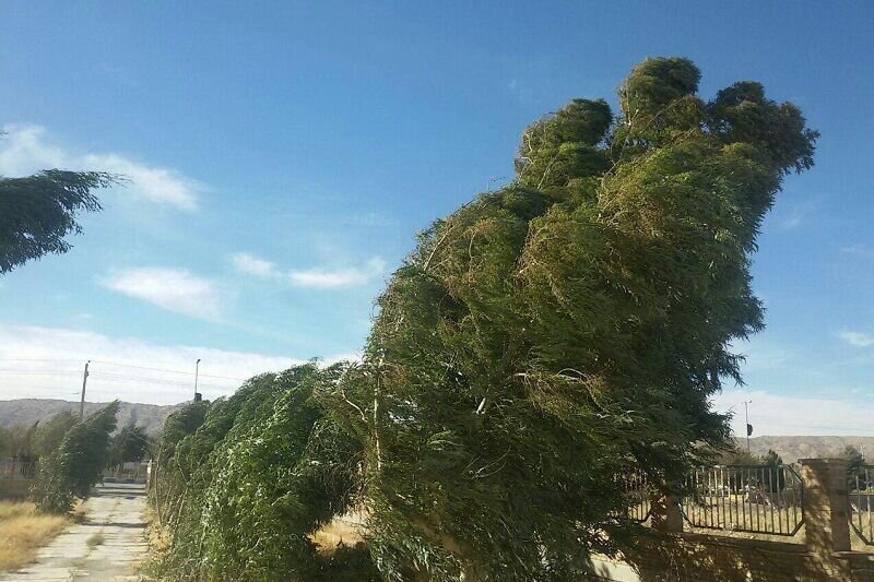 افزایش وزش باد شدید خراسان شمالی را در برمی گیرد