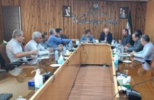 تشکیل خوشه فرش کردستان در مسیر تحقق زنجیره ارزش
