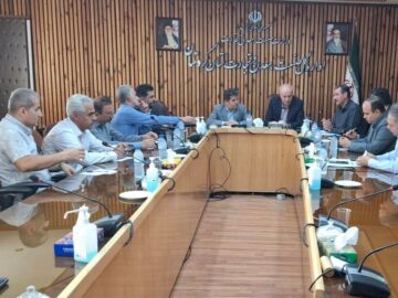 تشکیل خوشه فرش کردستان در مسیر تحقق زنجیره ارزش