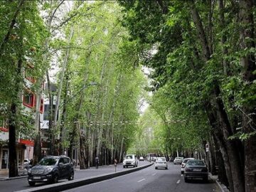 آغاز بهسازی میدان تجریش تهران با حفظ ۲۴۰۰ اصل درخت
