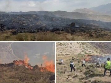 آتش‌ سوزی در مراتع دشت لار با حضور به‌ موقع محیط‌ بانان مهار شد