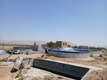 استخر پرورش ماهی بخش کالپوش میامی به بهره‌برداری می‌رسد
