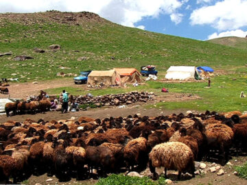 نغمه کوچ و فریاد سکوت، روایت زندگی و مشکلات عشایر فارس