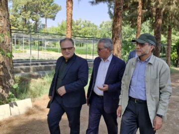 ضرورت حفظ گونه‌های بومی؛ مجلس حامی طرح یک‌ میلیارد درخت
