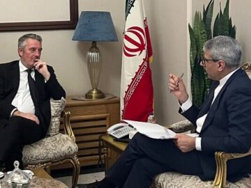 بقائی با سفرای هلند و ژاپن دیدار کرد